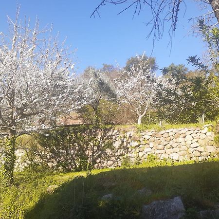 Quinta Dos Carvalhos The Wine House Farm In Center Of Lamego - Capital Of The Douro Villa Luaran gambar