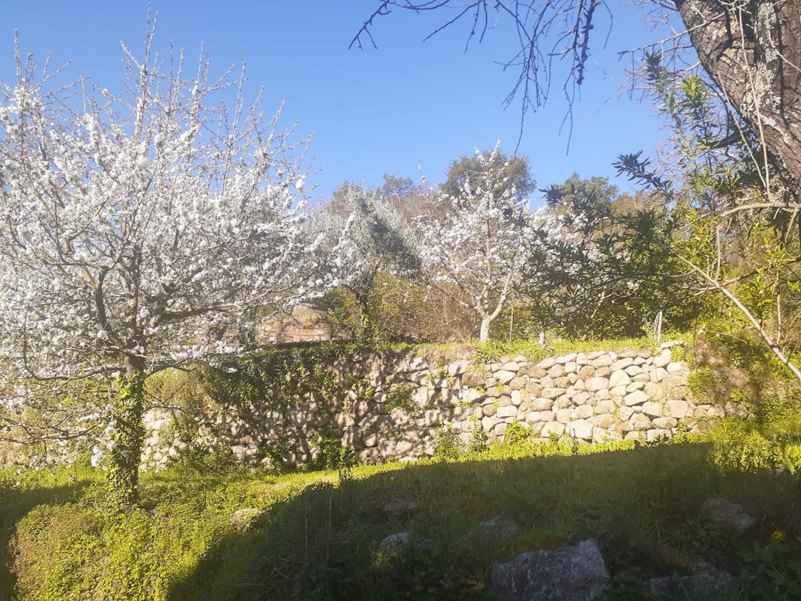 Quinta Dos Carvalhos The Wine House Farm In Center Of Lamego - Capital Of The Douro Villa Luaran gambar